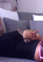 Блондинка похожая на Барби разделась до гола 3 фото Блондинка похожая на Барби разделась до гола 3 фото