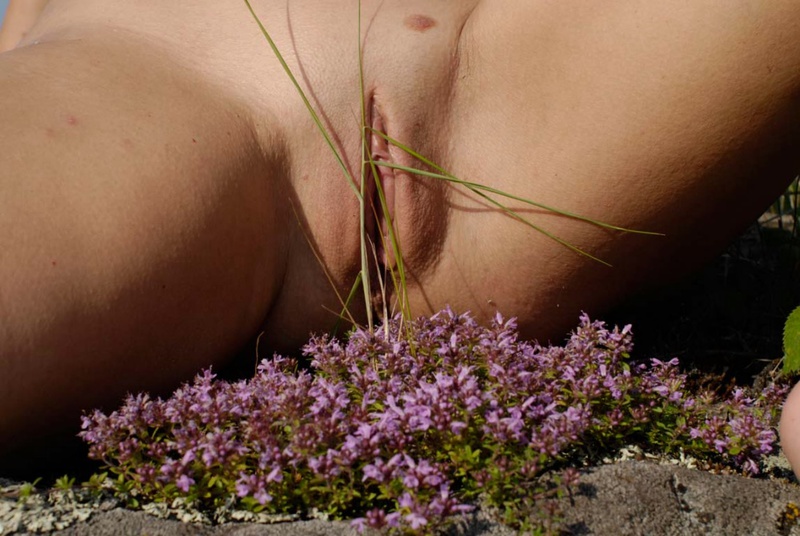 Женская вагина крупным планом на фоне цветущей поляны 12 фотография
