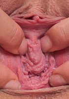 Молоденькая чикса на кухне разделась догола 9 фото Молоденькая чикса на кухне разделась догола 9 фото