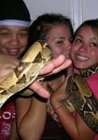 Студентки попозировали с удавом на шее, после чего одна из баб отсосала хахалю 14 фото